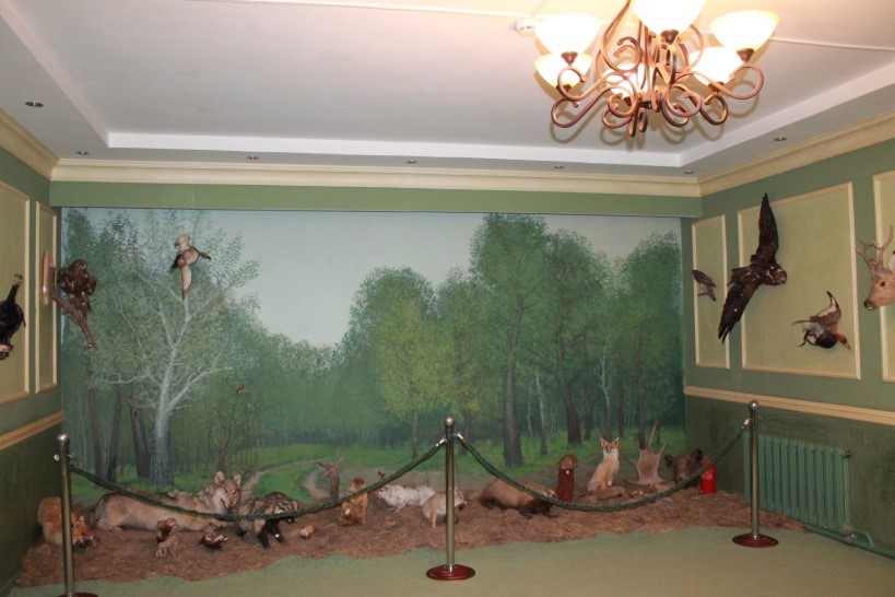 «Өлке табиғаты» залы.