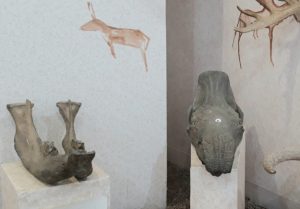 Жүндес мүйізтұмсықтың бас сүйегі